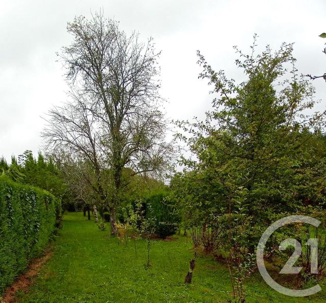 maison à vendre - 4 pièces - 86.23 m2 - LES BILLANGES - 87 - LIMOUSIN - Century 21 Victor Hugo