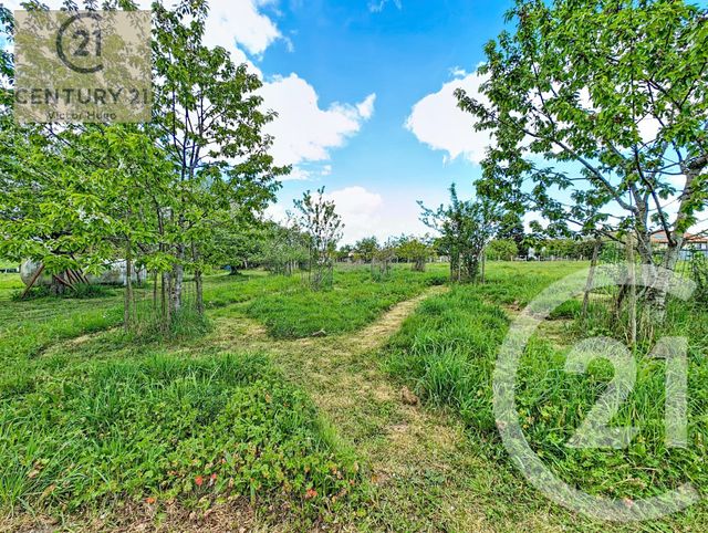 maison à vendre - 7 pièces - 204.0 m2 - LIMOGES - 87 - LIMOUSIN - Century 21 Victor Hugo