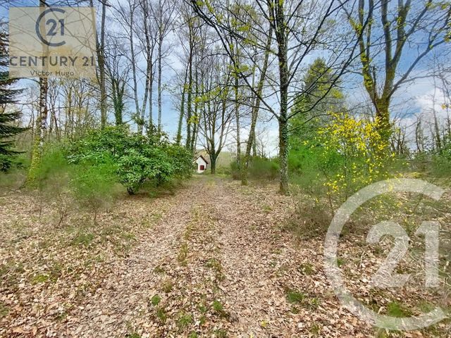 maison à vendre - 2 pièces - 57.04 m2 - LA GENEYTOUSE - 87 - LIMOUSIN - Century 21 Victor Hugo